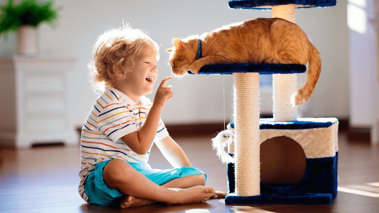 A child and his pet playing together.