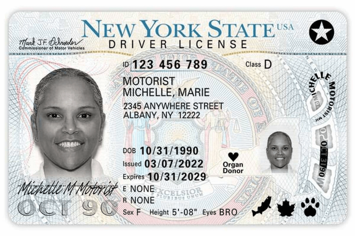 A sample driver's license for a person in New York.